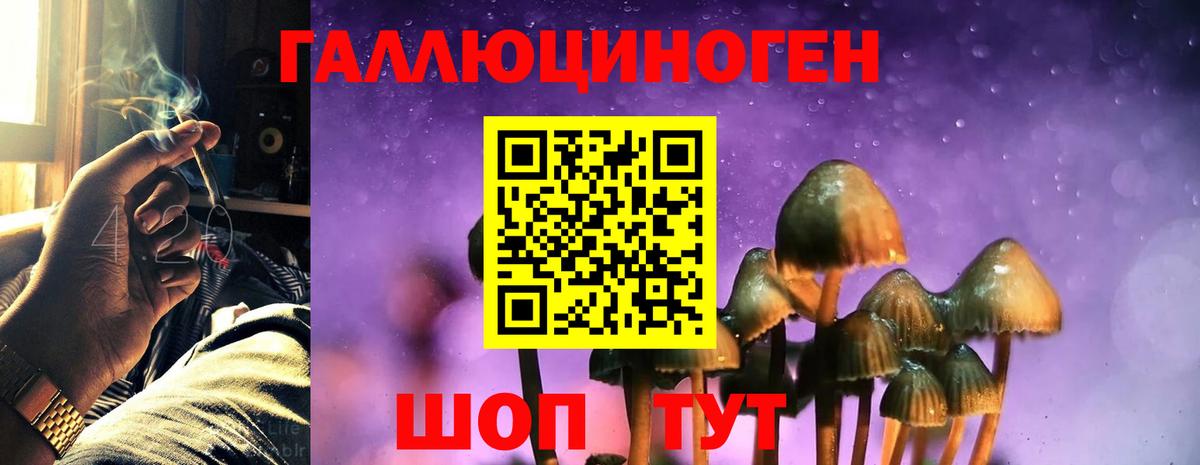 Галлюциногенные грибы Psilocybe  Вход с VPN  Рубцовск  Галлюциногенные грибы Psilocybe 